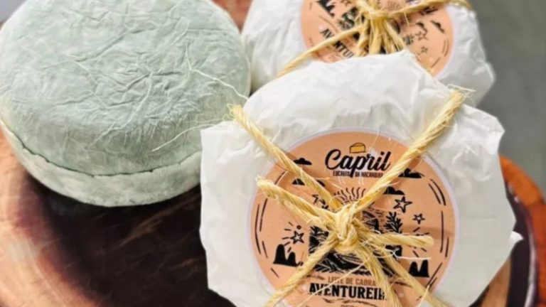 Queijo premiado SJCariri