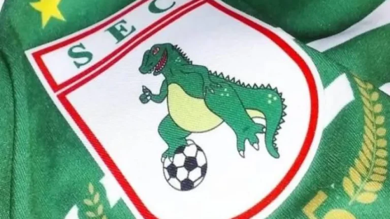 Sousa Esporte Clube